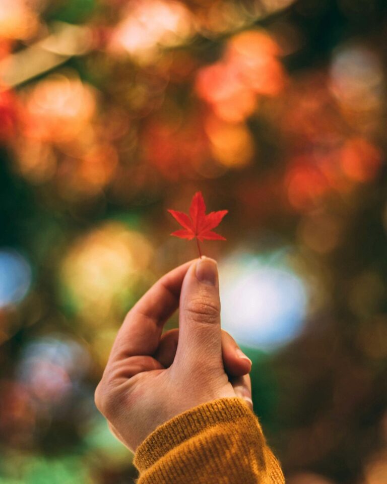 ФОКУС НА СЕБЕ (1)